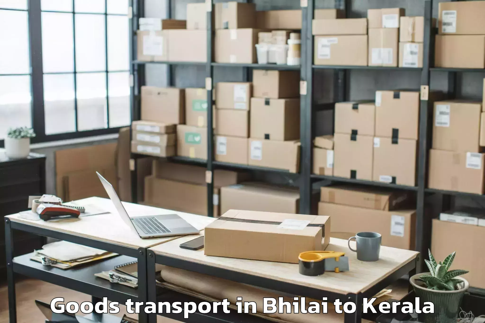 Professional Bhilai to Triprayar Goods Transport